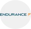 Endurance logo