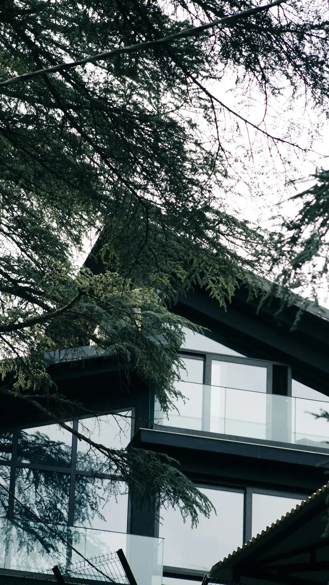 Sleek modern architectural home with glass-and-wood facade among pine trees